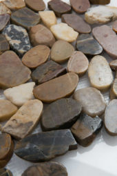 12X12 Flat Bora Wilderness | Tile Center