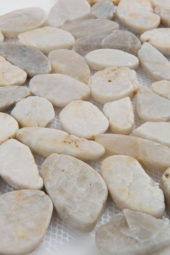 12X12 Flat Fiji Cream | Tile Center