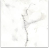 12X12F Calacatta | Tile Center