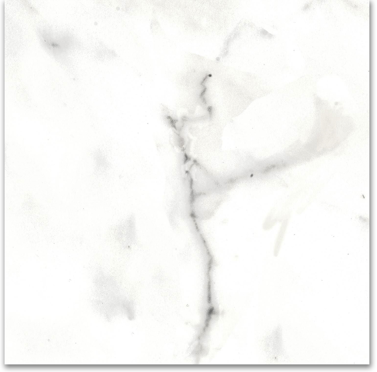 12X12F Calacatta | Tile Center