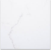 12X12F Calacatta | Tile Center