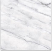 12X12F Carrara | Tile Center