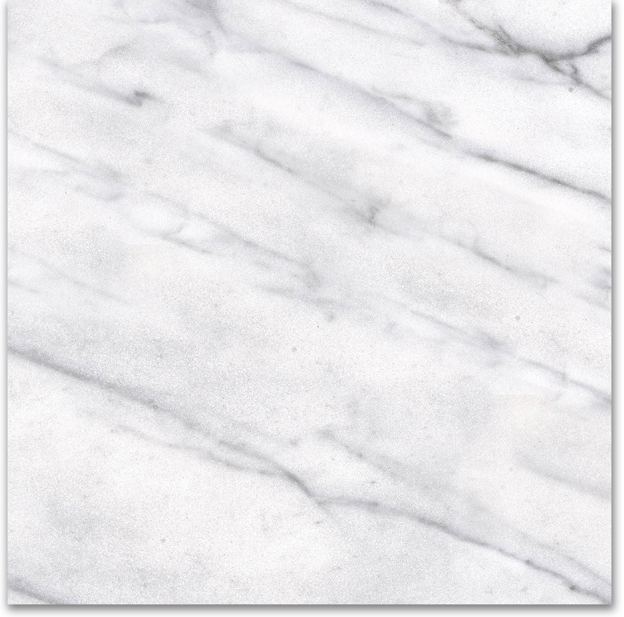 12X12F Carrara | Tile Center