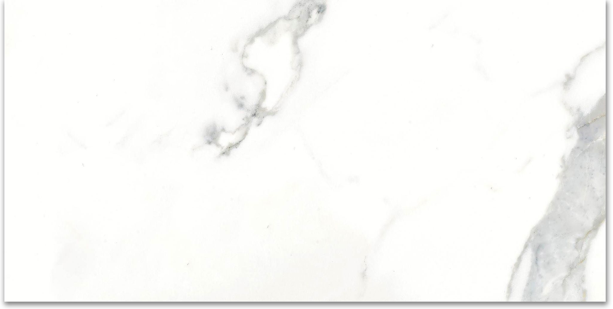 12X24F Calacatta | Tile Center