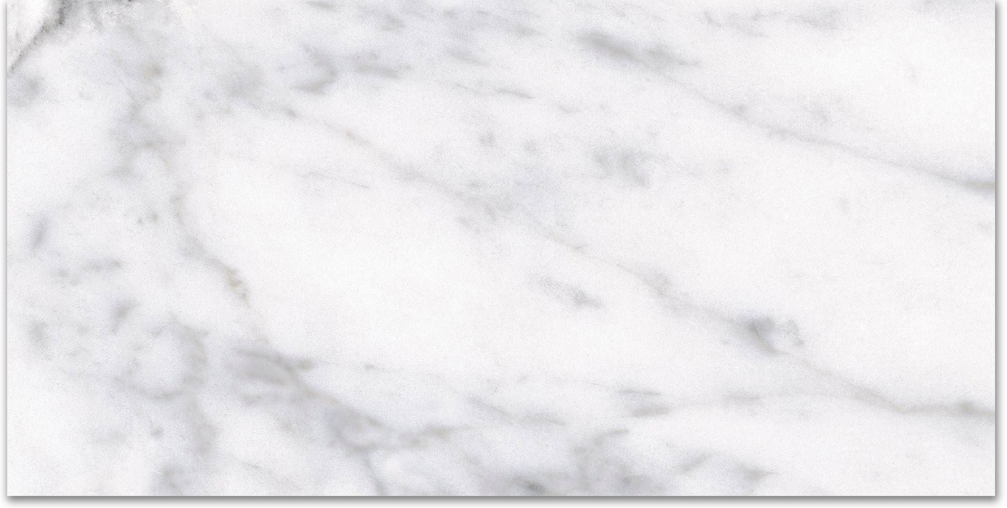 12X24F Carrara | Tile Center