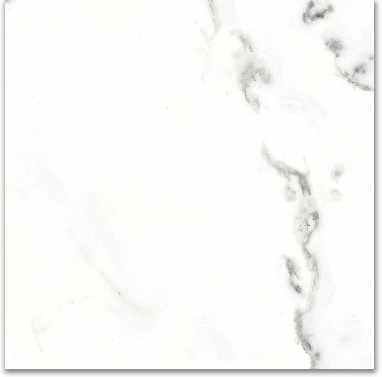 18X18F Calacatta | Tile Center