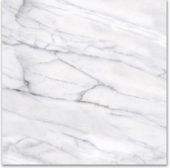 18X18F Carrara | Tile Center