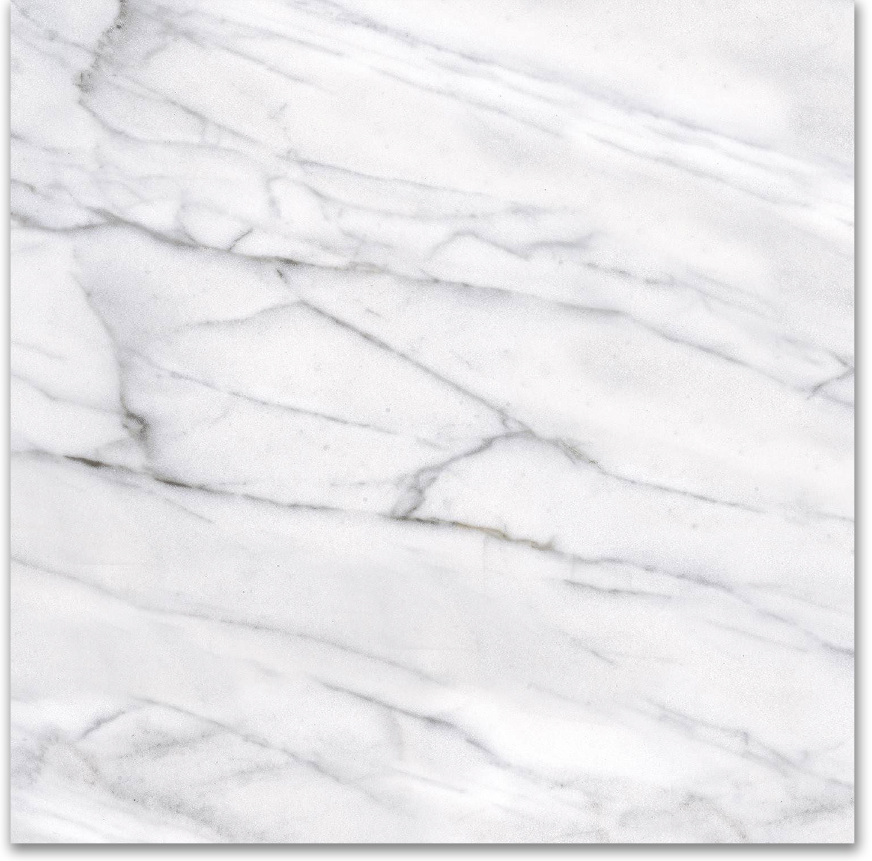 18X18F Carrara | Tile Center