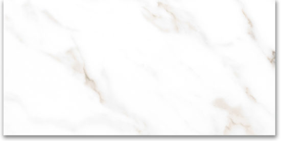 24X48 Polished Amore Grey | Tile Center