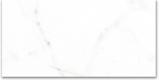 24X48 Polished Amore Grey | Tile Center