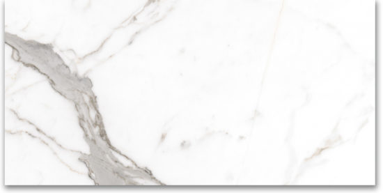 24X48 Polished Amore Grey | Tile Center