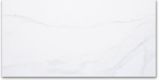 24X48F Calacatta | Tile Center