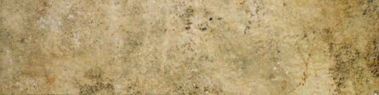 3X12 Beige Bullnose | Tile Center