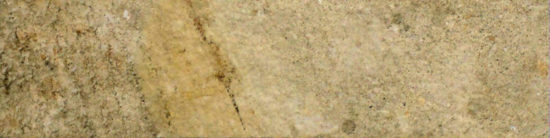 3X12 Beige Bullnose | Tile Center