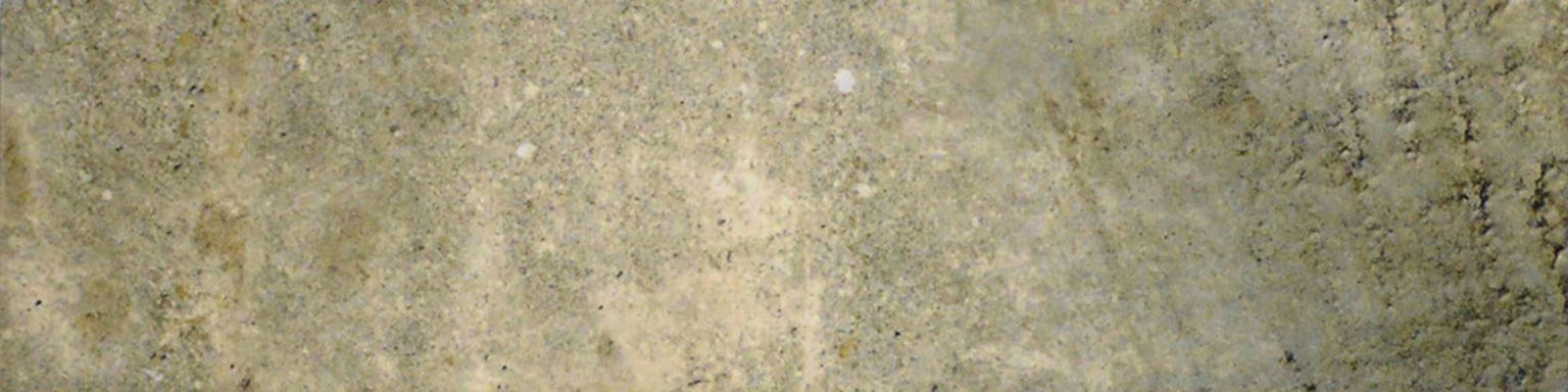 3X12 Grigio Bullnose | Tile Center