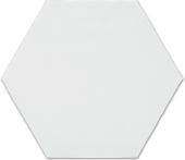 6" Bray Powder Glossy Hexagon | Tile Center