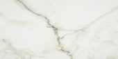 Amalfi Calacatta Honed 12X24 | Tile Center