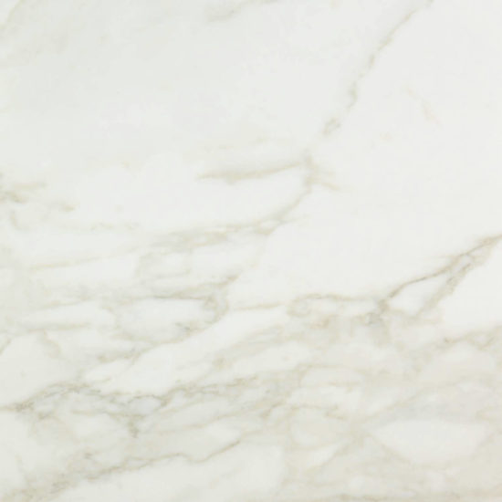 Amalfi Calacatta Honed 24X24 | Tile Center