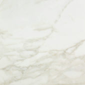 Amalfi Calacatta Polished 24X24 | Tile Center