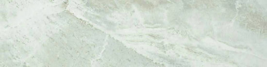 Amur 4X12 | Tile Center