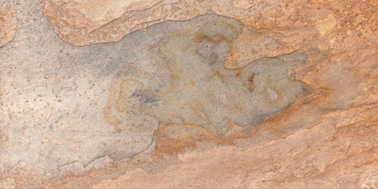 Annapurna Beige 12X24 | Tile Center