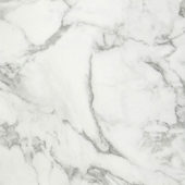 Arabescato Verona Honed 32X32 | Tile Center