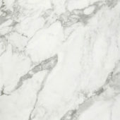 Arabescato Verona Honed 32X32 | Tile Center