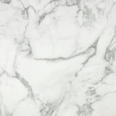 Arabescato Verona Polished 24X24 | Tile Center