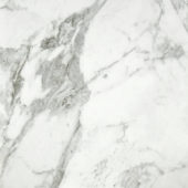 Arabescato Verona Polished 24X24 | Tile Center