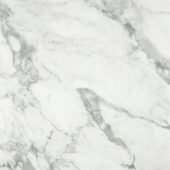 Arabescato Verona Polished 24X24 | Tile Center