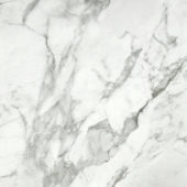 Arabescato Verona Polished 24X24 | Tile Center