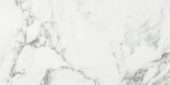 Arabescato Verona Polished 24X48 | Tile Center