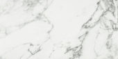 Arabescato Verona Polished 24X48 | Tile Center