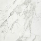 Arabescato Verona Polished 32X32 | Tile Center