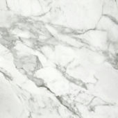 Arabescato Verona Polished 32X32 | Tile Center