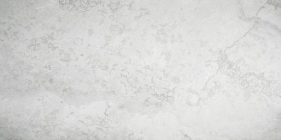 Argento 12X24 | Tile Center