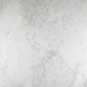 Argento 24X24 | Tile Center