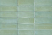 Aruba Moss Gloss 2x6 | Tile Center