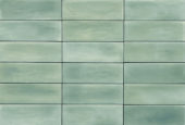 Aruba Moss Matt 2x6 | Tile Center