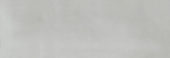 Aruba Silver Gloss 2x6 | Tile Center