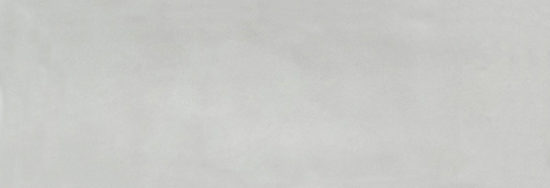 Aruba Silver Gloss 2x6 | Tile Center