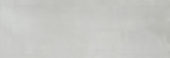 Aruba Silver Gloss 2x6 | Tile Center
