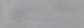 Aruba Steel Gloss 2x6 | Tile Center
