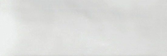 Aruba White Gloss 2x6 | Tile Center