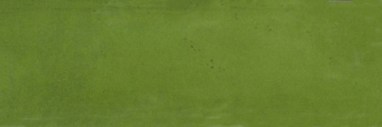 Barcelona 2x6" Olive | Tile Center