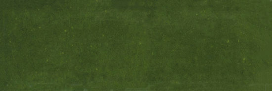 Barcelona 2x6" Olive | Tile Center