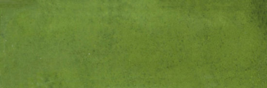 Barcelona 2x6" Olive | Tile Center