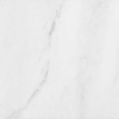Bianco Venatino 12x12 Polished | Tile Center