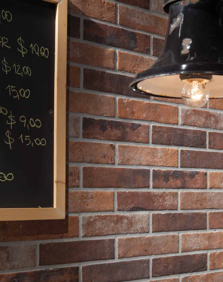 Brix 2x10 Old Red 4 | Tile Center