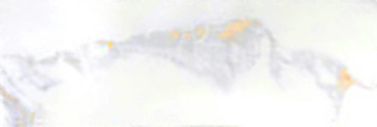 Calacatta 3x9" Calacatta | Tile Center